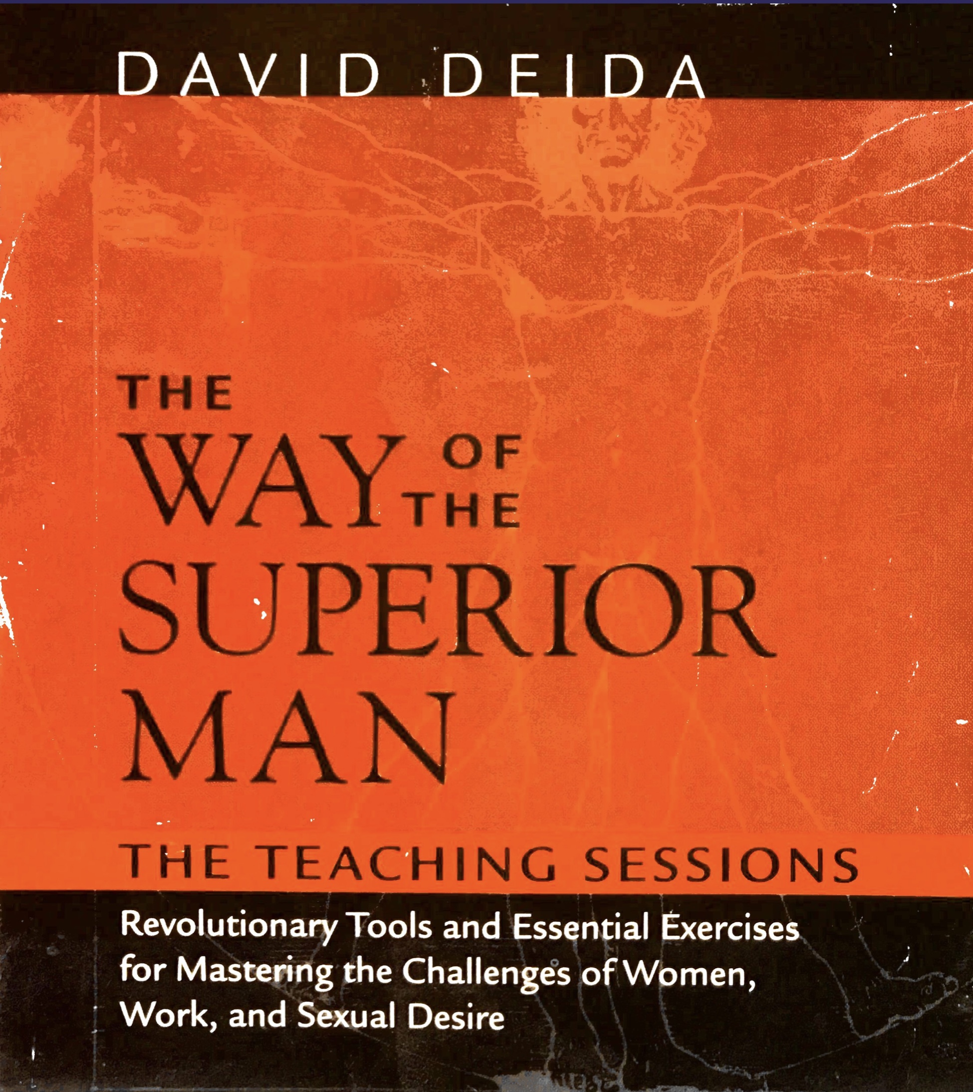 The Way Of The Superior Man By David Deida Audio Help For Passion